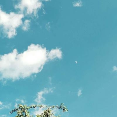 开元ky7818老版本手机app下载